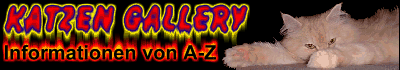 banner1.gif (30698 Byte)